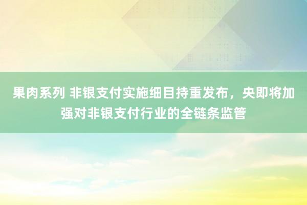 果肉系列 非银支付实施细目持重发布，央即将加强对非银支付行业的全链条监管