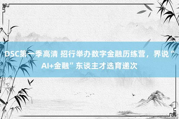 DSC第一季高清 招行举办数字金融历练营，界说“AI+金融”东谈主才选育递次