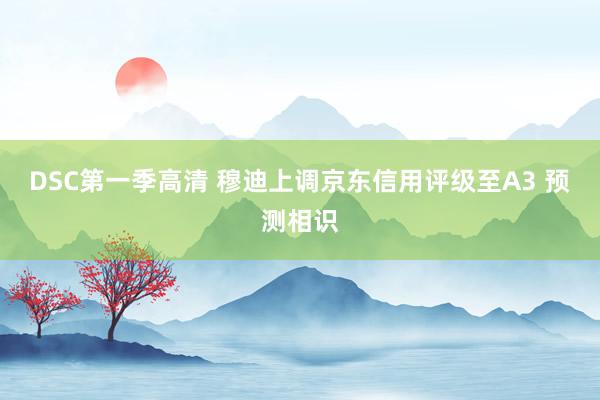 DSC第一季高清 穆迪上调京东信用评级至A3 预测相识