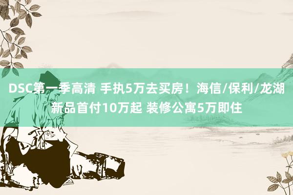 DSC第一季高清 手执5万去买房！海信/保利/龙湖新品首付10万起 装修公寓5万即住