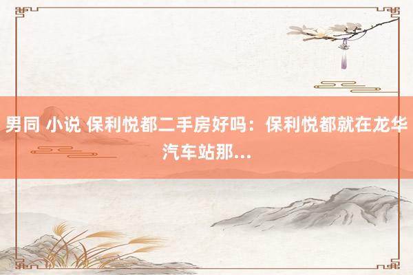 男同 小说 保利悦都二手房好吗:保利悦都就在龙华汽车站那...