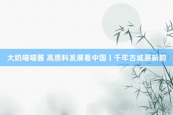 大奶喵喵酱 高质料发展看中国丨千年古城展新韵