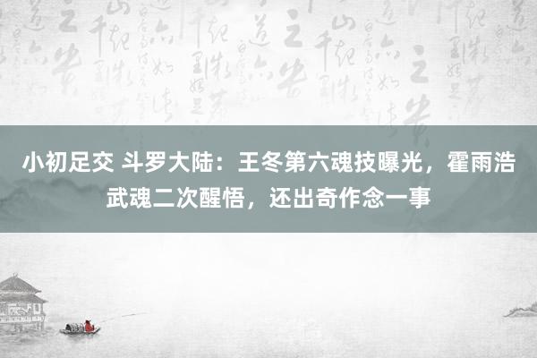 小初足交 斗罗大陆：王冬第六魂技曝光，霍雨浩武魂二次醒悟，还出奇作念一事