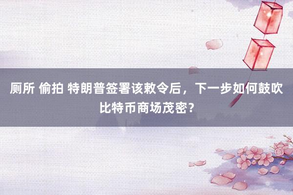 厕所 偷拍 特朗普签署该敕令后，下一步如何鼓吹比特币商场茂密？