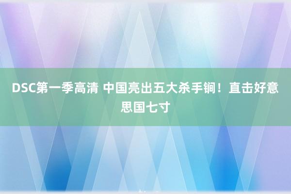 DSC第一季高清 中国亮出五大杀手锏！直击好意思国七寸