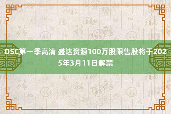 DSC第一季高清 盛达资源100万股限售股将于2025年3月11日解禁