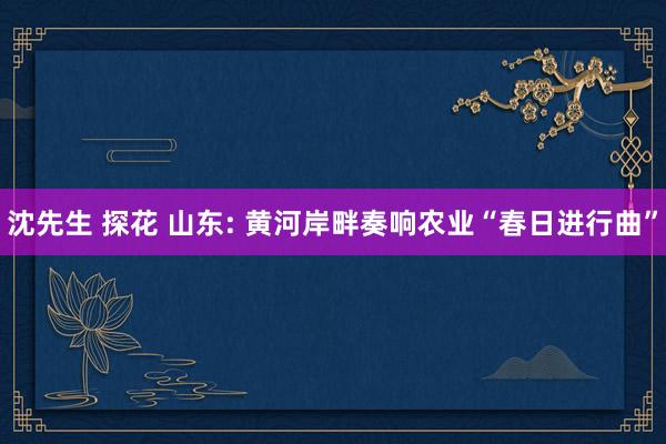 沈先生 探花 山东: 黄河岸畔奏响农业“春日进行曲”