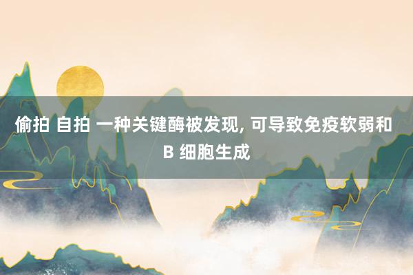 偷拍 自拍 一种关键酶被发现， 可导致免疫软弱和 B 细胞生成