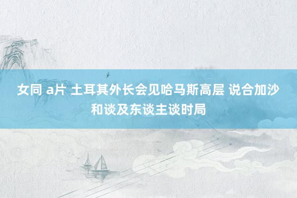 女同 a片 土耳其外长会见哈马斯高层 说合加沙和谈及东谈主谈时局