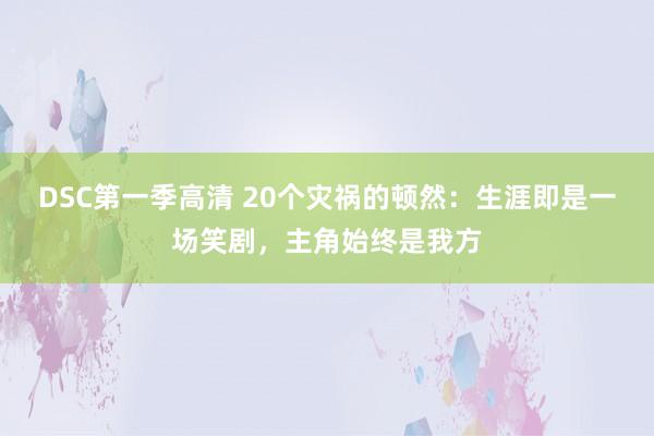 DSC第一季高清 20个灾祸的顿然：生涯即是一场笑剧，主角始终是我方