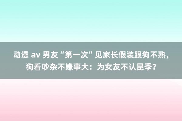 动漫 av 男友“第一次”见家长假装跟狗不熟，狗看吵杂不嫌事大：为女友不认昆季？