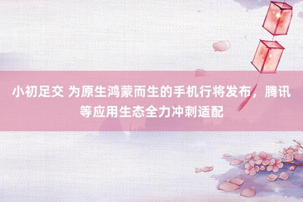 小初足交 为原生鸿蒙而生的手机行将发布，腾讯等应用生态全力冲刺适配