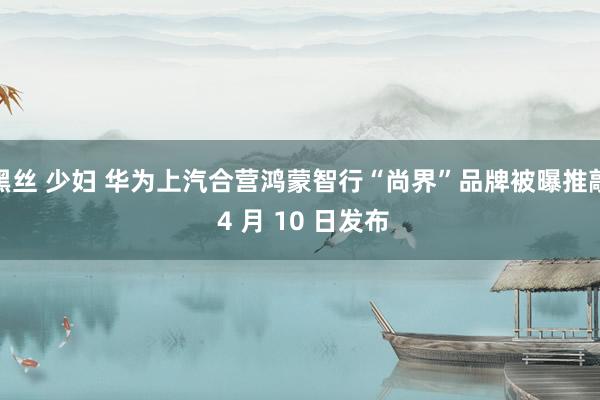 黑丝 少妇 华为上汽合营鸿蒙智行“尚界”品牌被曝推敲 4 月 10 日发布